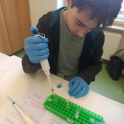 Laboratoře UP pro žáky 7. ročníku
