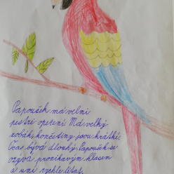 Další práce žáků z II.B