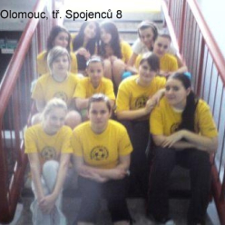 Turnaj ve vybíjené