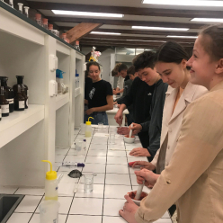 Hledání molekul DNA s IX.A