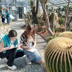 Čeština ve skleníku