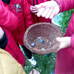 Den Země v 1.A a 2.B – Tajemství kamínků