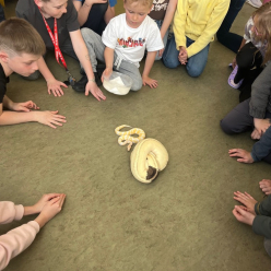 Na Sv. Jiří vylézají Hadi a štíři i ve školní družině