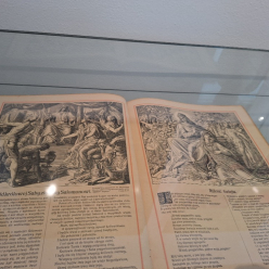 Čeština VII. B v Arcibiskupském paláci