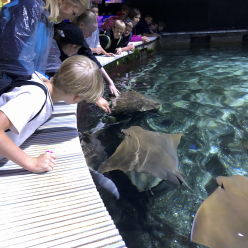 Výlet V.B do ZOO Zlín