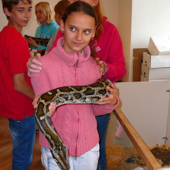 Výstava terarijních zvířat