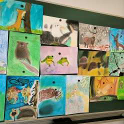 Příroda kolem nás - IV.A