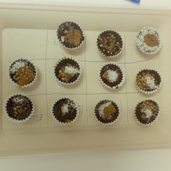 Den čokolády v III.B