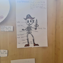 Projektové vyučování ve III.A - "člověk a zdraví"