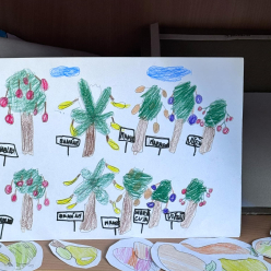 Projektové vyučování ve III.A - "živá příroda"