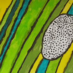 Výběr prací žáků 6. - 9. tříd z výtvarné výchovy