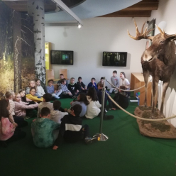 Chlupatý svět a IV. A