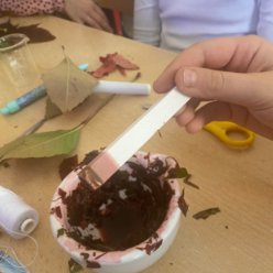 Rostlinná barviva se IV. A