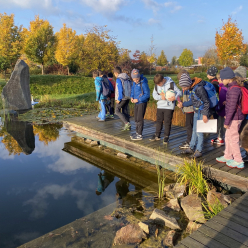 Projektový týden Den stromu v Holickém lese - 1. stupeň