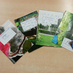 Práce dětí ze III. B