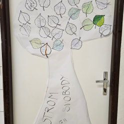 Den boje za demokracii v V .A