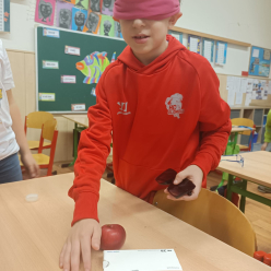 Vidíme to jinak - ŠD